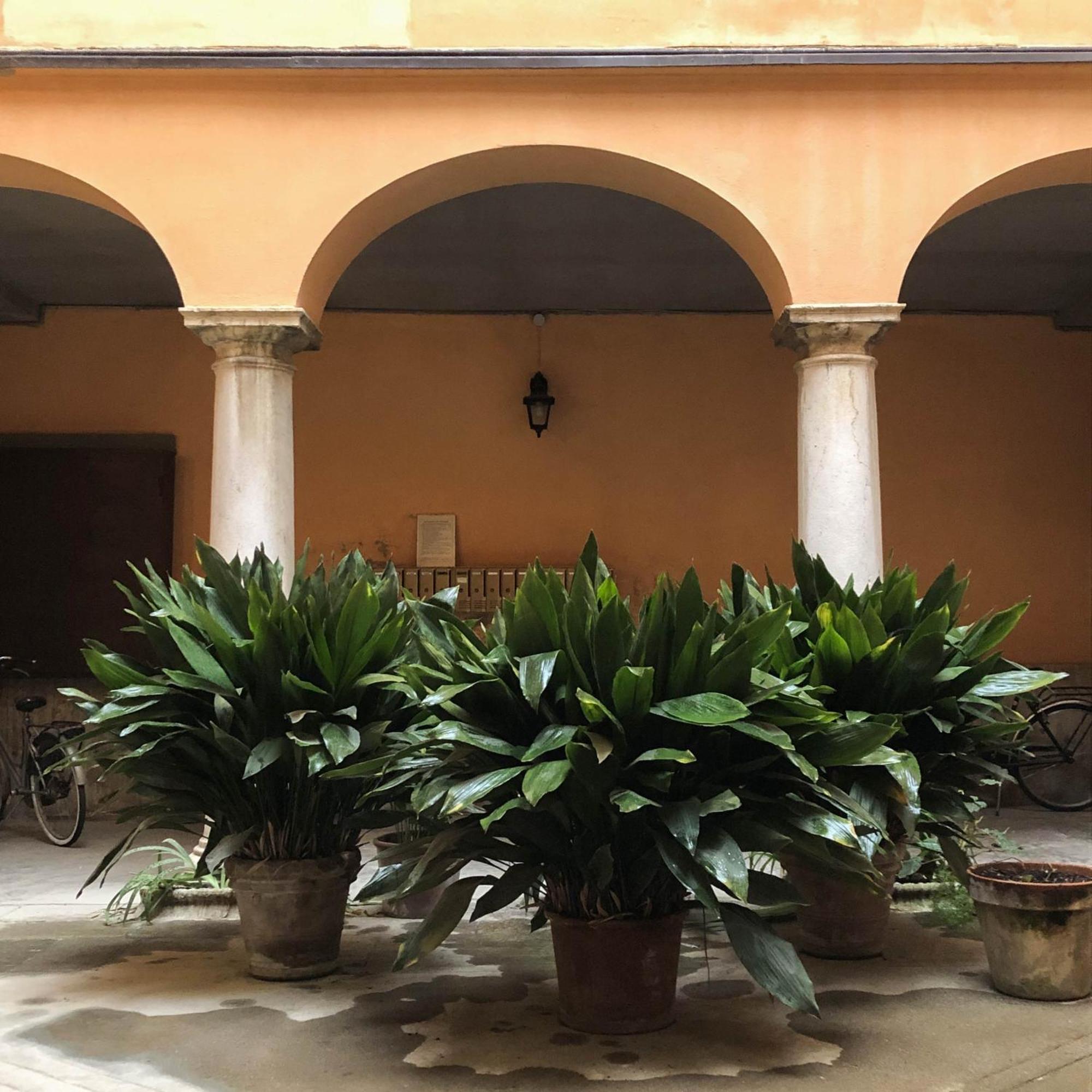 Casa Giulietta Apartment Кремона Екстериор снимка